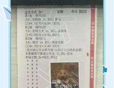 开云体育官网-足球比拼中球员斗志昂扬，为团队争取胜利的简单介绍