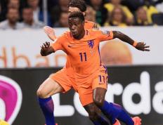 开云体育平台APP-荷兰队取得关键胜利，信心大增