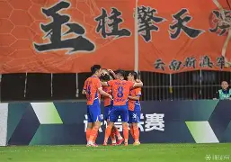 开云体育APP下载-斯文登东主场告捷，英乙冲级前途颇有希望