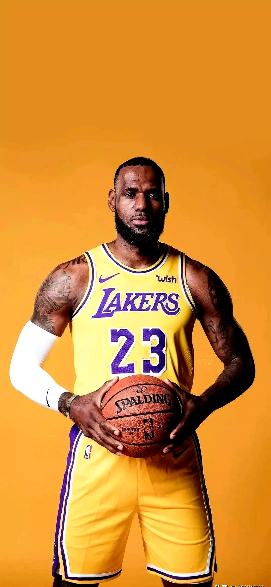 开云体育中国-湖人新秀表现抢眼，成为球队关键一环的简单介绍