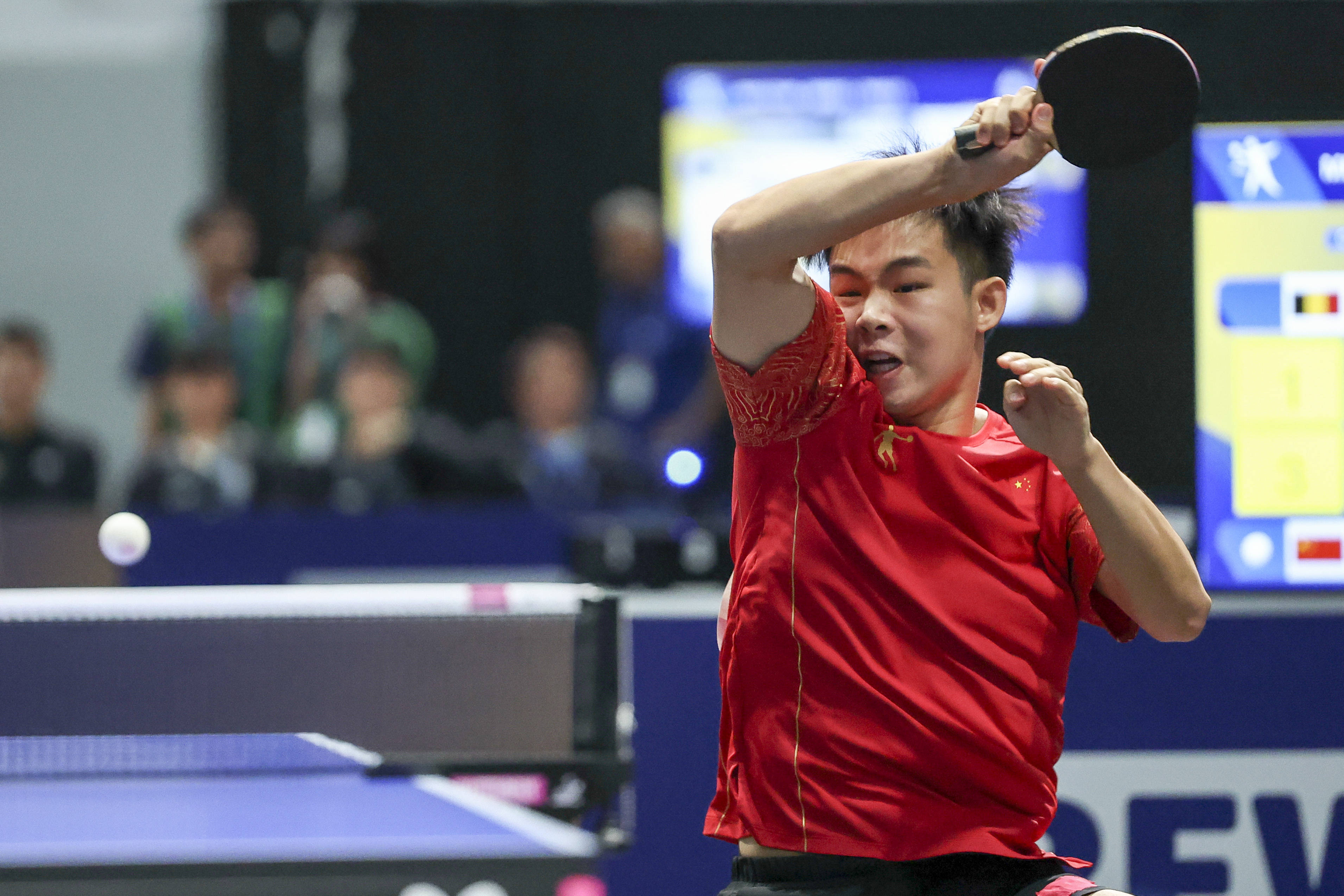 开云体育中国-比利时乒乓球队血洗法国乒乓球队,许昕绝境逆转的简单介绍