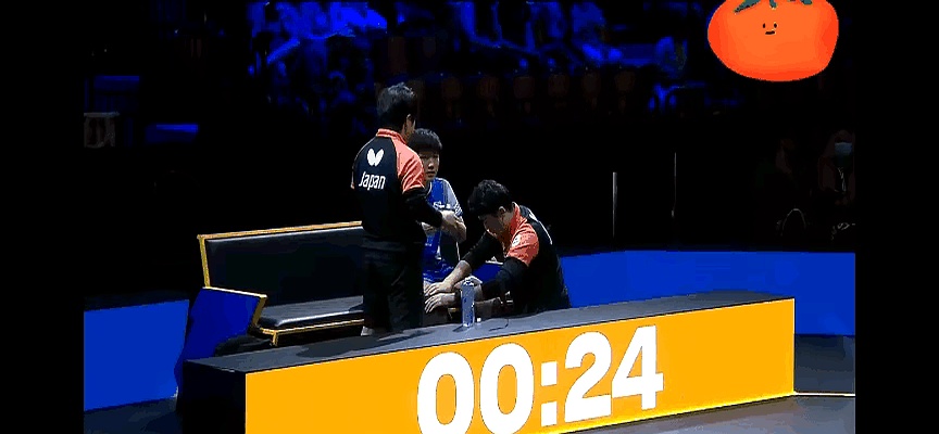 开云体育APP下载-瑞典队完胜日本队,张本智和关键制胜的简单介绍